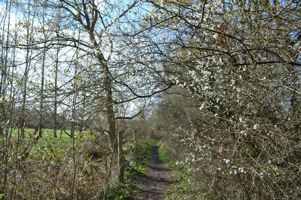 The Kingsley At Eversley Buitenkant foto