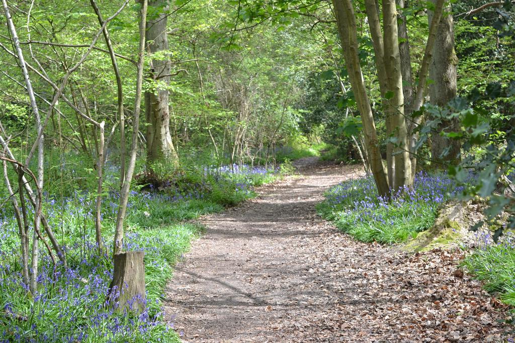 The Kingsley At Eversley Buitenkant foto
