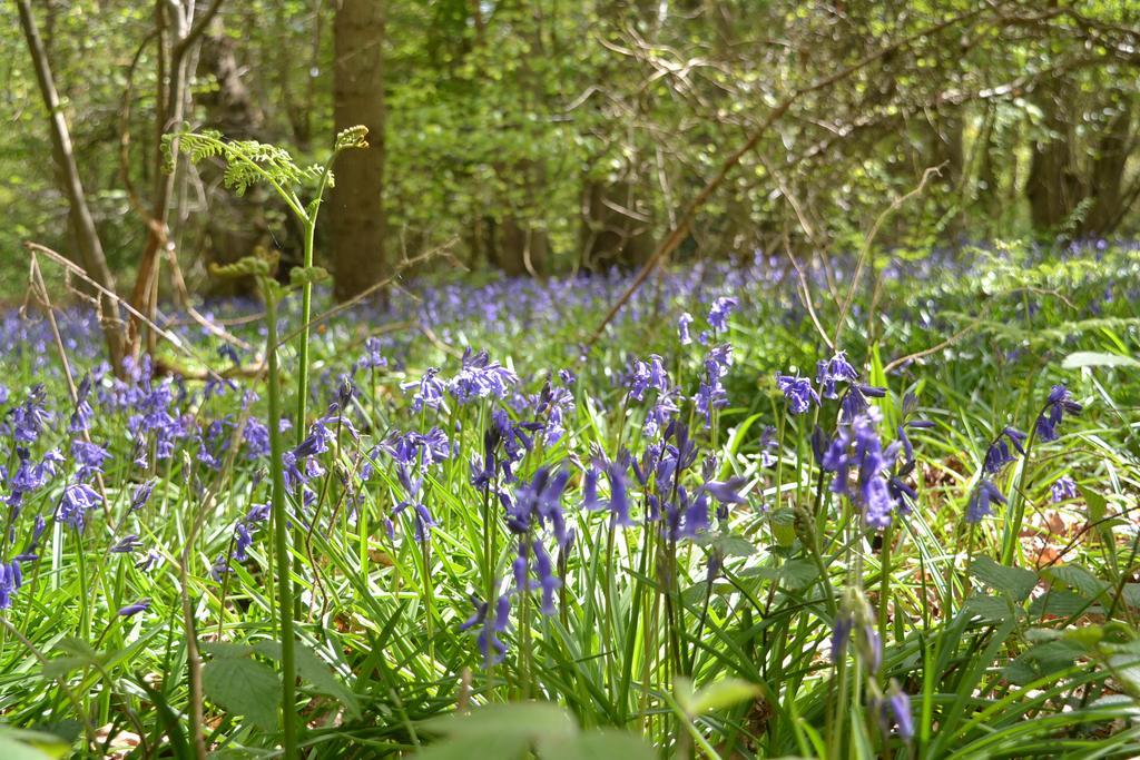 The Kingsley At Eversley Buitenkant foto